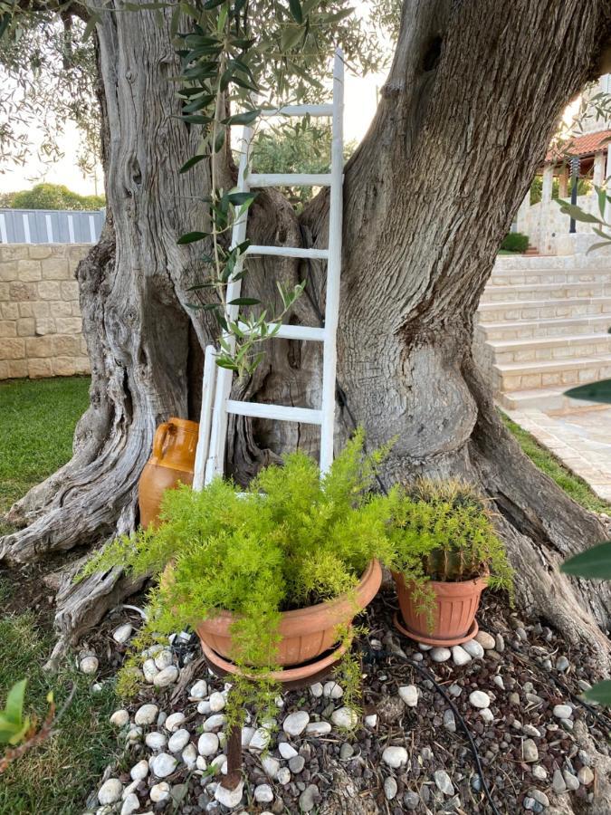 Trulli Del Relax Villa Castellana Grotte Ngoại thất bức ảnh